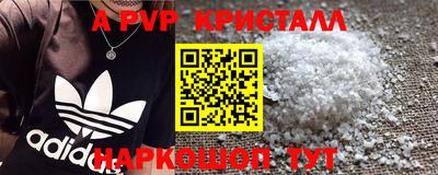 спиды Будённовск